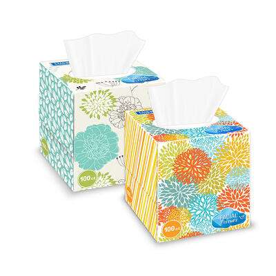 Delta Facial Tissues 2ply 100 ct
