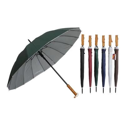 Umbrella: $30.00