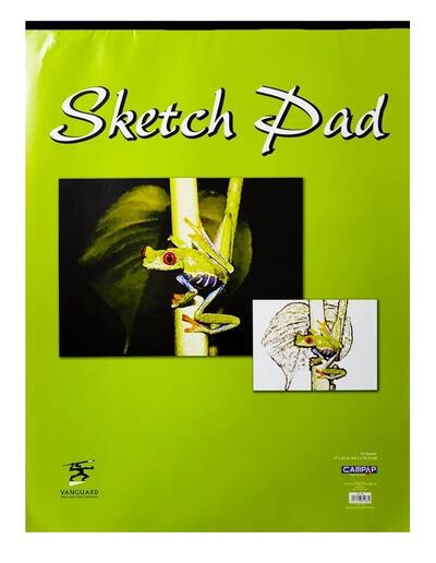 Pad Sketch 22x17