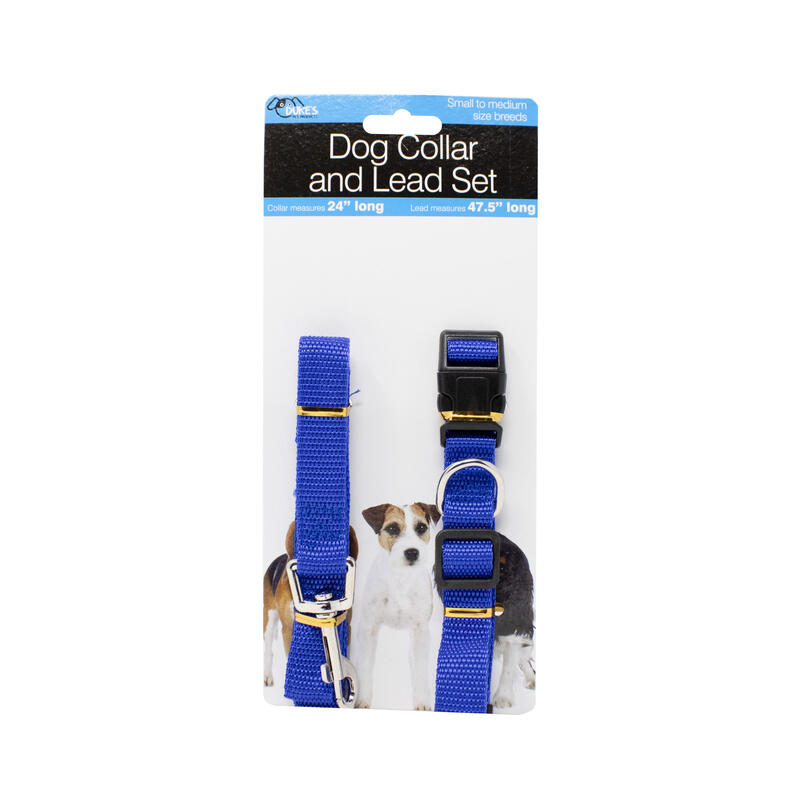 Dog Collar & Lead Set