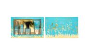 Aqua Breeze Fragrance Gift Set 4 pieces: $0.00