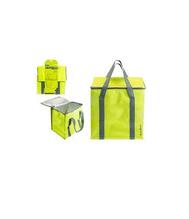 Summit Coolbag With Carry Handle Lime & Grey 12.5l: $15.00