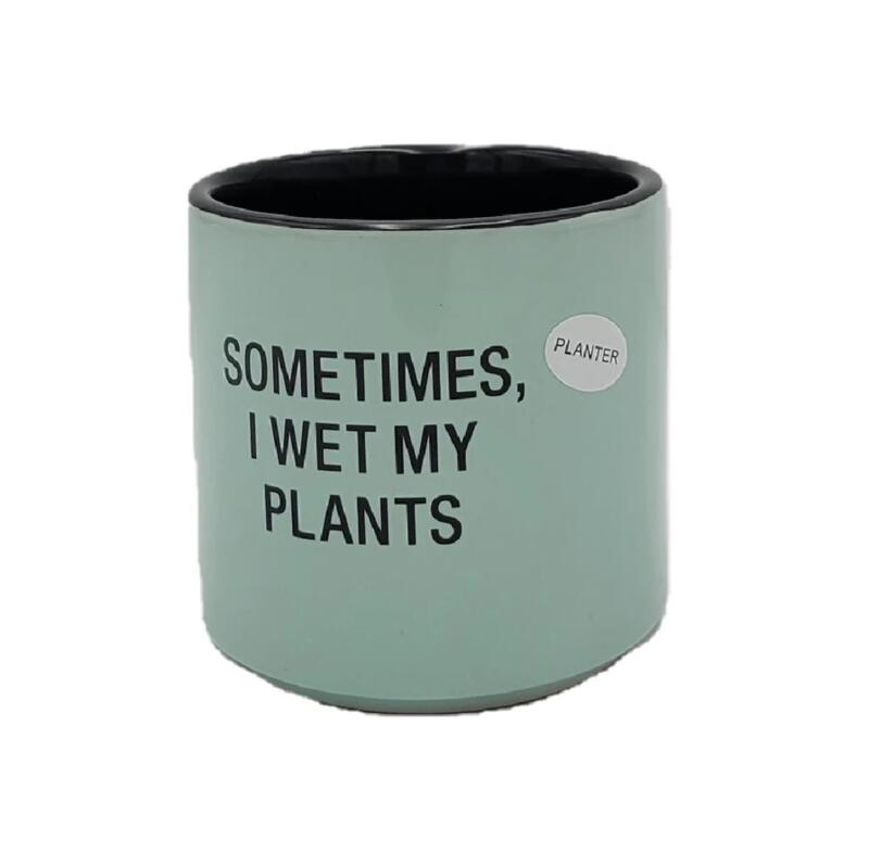 I Wet My Pants Planter