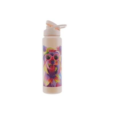 Bandeirante Water Bottle Squeeze Fashion Dog 1 count