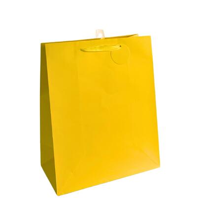 Paper Bag Yellow Large 1 count