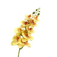 Artificial Flower Orchids Assorted 1 count: $0.00