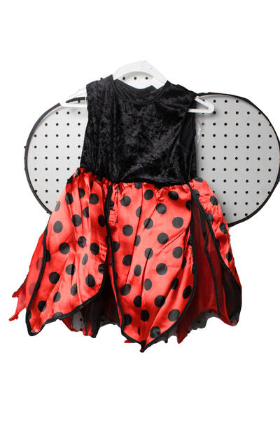 Lady Bug Costume: $10.00