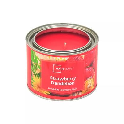  Mainstays Strawberry Dandelion Musk Paint Can Candle 14oz