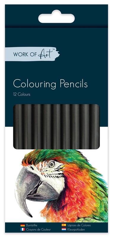Work Of Art Colouring Pencils 12ct: $8.00