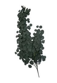 Green Leaves Artificial Flower 1 count: $0.00