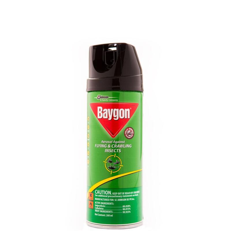 Baygon Aerosol Flying & Crawling Insects 260ml