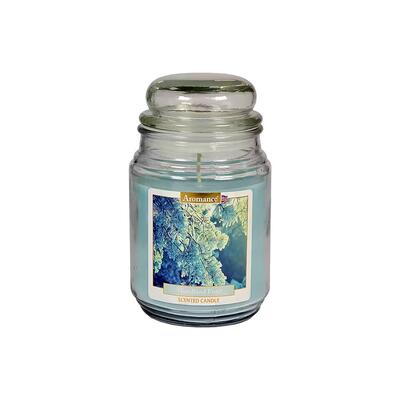 Aromance Jar Candle Woodland Frost Scented 18oz