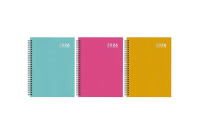 Diary A5 WTV Bright Wire Assorted 1 count