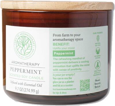 Aromatherapy Peppermint Scented Soy Candle 9.7oz