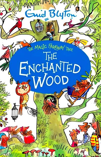 Enid Blyton Magic Faraway Tree Assorted