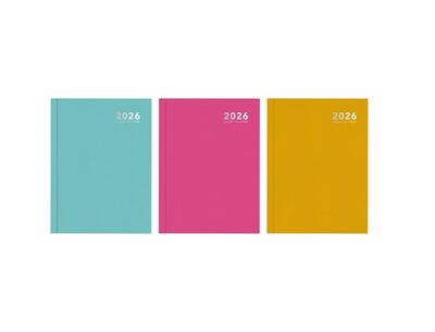 Diary A5 WTV Bright Casebound Assorted