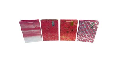 Paper Bag Think Pink Jumbo Assorted 1 count