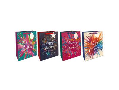 Paper Bag Birthday Blast Large Assorted 1 count