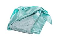 Evergreen Soft Plush Baby Blanket: $0.00